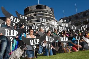 Room for compromise: Greenpeace supporters protested against commercial whaling at Parliament in Wellington. Photo / Mark Mitchell