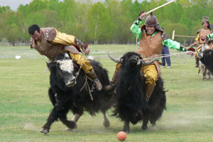 It may be put on solely for tourists, but a yak polo match in Mongolia is a heap of fun. Photo / Jim Eagles