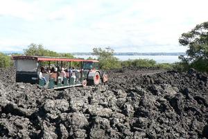 Visitors to Rangitoto can pay a little extra and travel around the island and up to near the summit on a tractor-drawn trailer. Photo / Jim Eagles