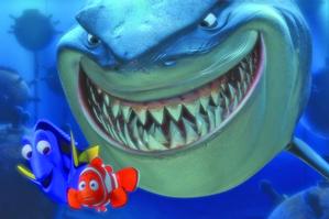 Finding Nemo and the not-so-scary sharks. Photo / Supplied