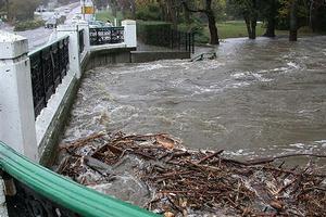 The Oamaru Creek was close to topping the bridge for SH1 in Oamaru at 11am today. Photo / David Bruce/Otago Daily Times