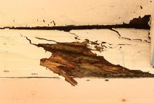 The problem with leaky home repairs is the risk. Photo / Alan Gibson The problem with leaky home repairs is the risk. Photo / Alan Gibson