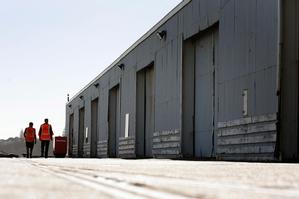 Sheds on Queens Wharf which were slated for preservation. Photo / Dean Purcell