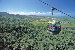 Skyrail Rainforest Cableway. Photo / Supplied