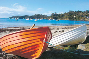 Time stands still on isolated, damp and unspoiled Stewart Island. Photo / Eloise Gibson
