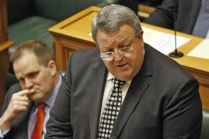 Gerry Brownlee, Minister for Economic Development. Photo / Mark Mitchell