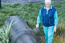 Joan Morrow with the cannon. Photo / Paul Estcourt Joan Morrow with the cannon. Photo / Paul Estcourt