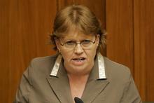 National MP Sandra Goudie. Photo / Mark Mitchell National MP Sandra Goudie. Photo / Mark Mitchell