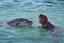 Photo / John Borren, Bay of Plenty Times Photo / John Borren, Bay of Plenty Times