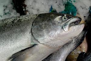 US researchers say that taking fish oil supplements may cut the risk of breast cancer. File photo / Herald on Sunday