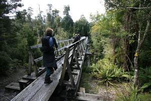 Walking the 55km Hump Ridge Track is like stepping back in time. Photo / Supplied