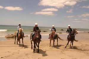 Briar's Horse Treks offers an exhilarating experience. Photo / Supplied