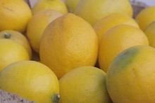 Aimee Galbraith did the lemon detox diet for about a day before deciding going without all food was not for her. Photo / Supplied Aimee Galbraith did the lemon detox diet for about a day before deciding going without all food was not for her. Photo / Supplied