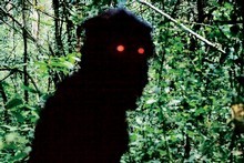 Uncle Boonmee Who Can Recall His Past Lives. Photo / Supplied Uncle Boonmee Who Can Recall His Past Lives. Photo / Supplied