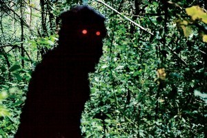 Uncle Boonmee Who Can Recall His Past Lives. Photo / Supplied