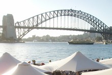 Bars, cafes, prices, former politicians and film stars all making themselves heard in Sydney. Photo / Herald on Sunday Bars, cafes, prices, former politicians and film stars all making themselves heard in Sydney. Photo / Herald on Sunday