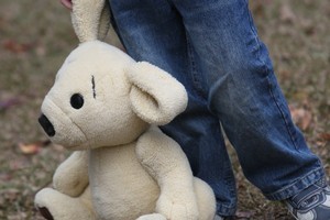 Rainbow Wellington is warning against jumping to conclusions regarding the link between child abuse and homosexuality. Photo / APN