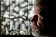 Theo van Pelt says his daughters don't like his stand on euthanasia 'but they understand'. Photo / Brett Phibbs Theo van Pelt says his daughters don't like his stand on euthanasia 'but they understand'. Photo / Brett Phibbs