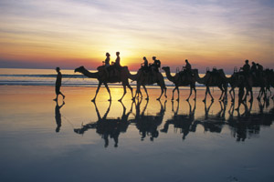 Visitors flock to Cable Beach for camel rides, especially in the evenings, as the temperature drops and the sun sets over the Indian Ocean. Photo / Tourism Western Australia