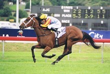 Larry Cassidy, riding Sunline in 2008. Photo / Supplied Larry Cassidy, riding Sunline in 2008. Photo / Supplied