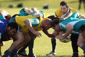 Newly-promoted halfback Alby Mathewson feeds the scrum during the All Blacks training session yesterday at Linwood. Photo / Getty Images