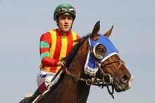 Christophe Soumillon aboard Melbourne entry Jaguar Mail at Sha Tin. Photo / Getty Images Christophe Soumillon aboard Melbourne entry Jaguar Mail at Sha Tin. Photo / Getty Images