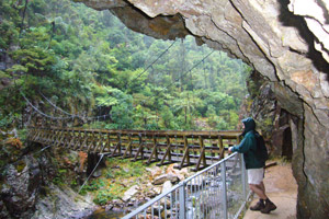 A network of tracks and tunnels opens up Karangahake Gorge. Photo / Jim Eagles