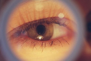 Ageing irises could confound biometric checks. Photo / Mark Smith