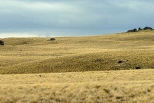 Site of proposed Project Hayes windfarm. Photo / Craig Baxter, Otago Daily Times Site of proposed Project Hayes windfarm. Photo / Craig Baxter, Otago Daily Times