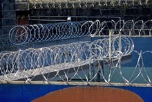 Architects say a green prison makes inmates less hostile. Photo / Dean Purcell Architects say a green prison makes inmates less hostile. Photo / Dean Purcell