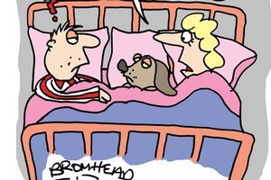 Cartoon / Peter Bromhead
