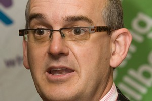 Health Minister Tony Ryall. File photo / Mark Mitchell