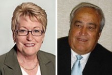Candidates Dianne Glenn and Des Morrison. Photos / Supplied Candidates Dianne Glenn and Des Morrison. Photos / Supplied