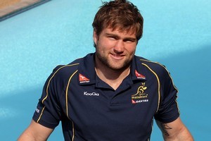 Wallabies number eight Ben McCalman. Photo / Getty Images