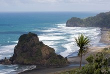Lion Rock at Piha. Photo / Paul Estcourt Lion Rock at Piha. Photo / Paul Estcourt