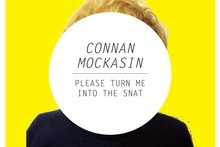Connan Mockasin Please Turn Me Into The Snat . Image / Supplied Connan Mockasin Please Turn Me Into The Snat . Image / Supplied