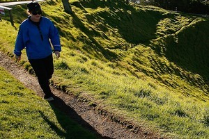 A large proportion of Mt Eden residents work in the city. Photo / NZ Herald