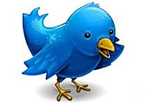 Twitter logo. Photo / Supplied. Twitter logo. Photo / Supplied.