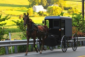 Publicity of rape, incest and grisly dog gassings follow booming simple-living Amish sect. Photo / Thinkstock