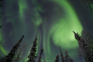 Aurora borealis - the Northern Lights - can be monitored via a new streaming website. Photo / CSA