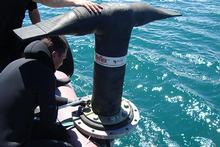 The 'duckbill' nozzles for distributing the treated sewage are designed to bend if they are snagged by a boat anchor. Photo / Supplied The 'duckbill' nozzles for distributing the treated sewage are designed to bend if they are snagged by a boat anchor. Photo / Supplied