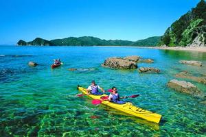 Kayakers explore numerous bays while trampers find hidden delights in lush forest along the Abel Tasman track. Photo / Supplied