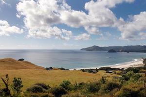 Great Barrier Island's Palmers Beach, Kaitoke Beach and Medlands. Photo / Sarah Ivey