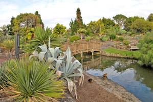 The bridge at the Auckland Botanic Gardens in Manurewa. Photo / Supplied