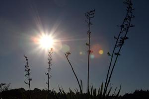 It's vital to avoid excessive sun exposure to minimise the risk of skin cancer, but some sunlight is necessary to ensure adequate vitamin D levels. File photo / The Aucklander