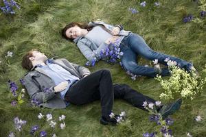 Movie adaptations of Stephenie Meyer's Twilight books have been big hits, and big earners.
