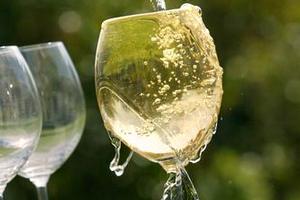 Scientists say if we must tipple, we should do so wisely to help protect us from a variety of cancers. Photo / NZ Herald