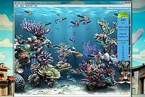 Hardware acceleration really helps push Internet Explorer 9's performance along - ably demonstrated by Microsoft's Fish Tank test. Photo / Supplied