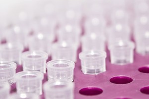 Australian scientists have found a unique way to grow a precious and life-saving type of stem cell. Photo / Thinkstock