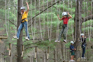 The Tree Adventures courses at Woodhill Forest are great fun for kids and can help boost their confidence. Photo / Supplied